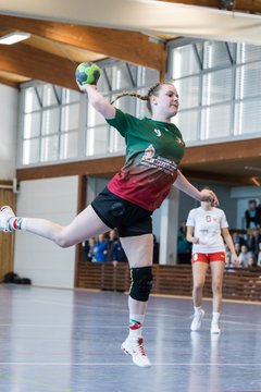 Bild 129 - F HSG Kremperheide/Muensterdorf - Slesvig IF 2 : Ergebnis: 30:26